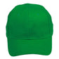 CH01 Heavy Brushed Cotton Cap
